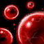 Hemopraga